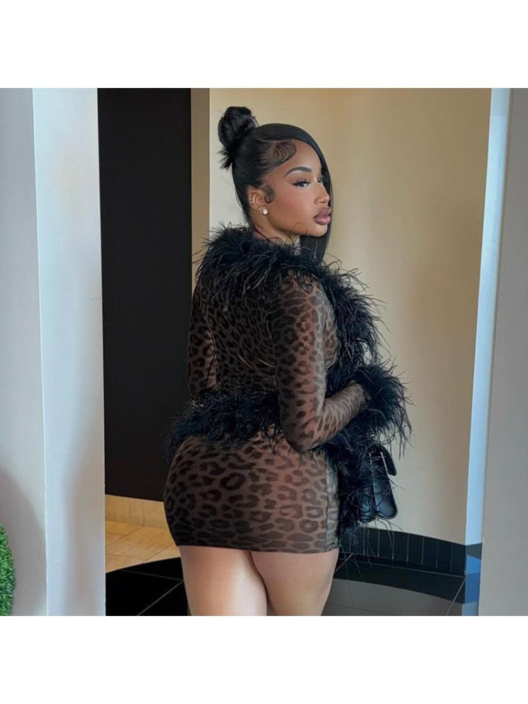 Pretty Kitty Skirt Set